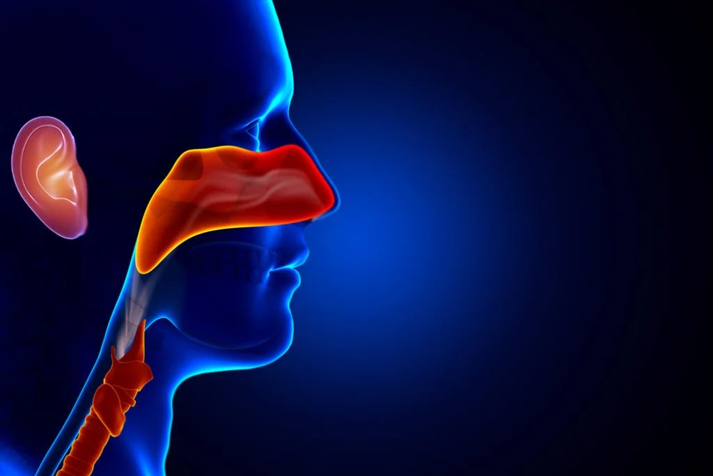 ENT & Head Neck Surgery